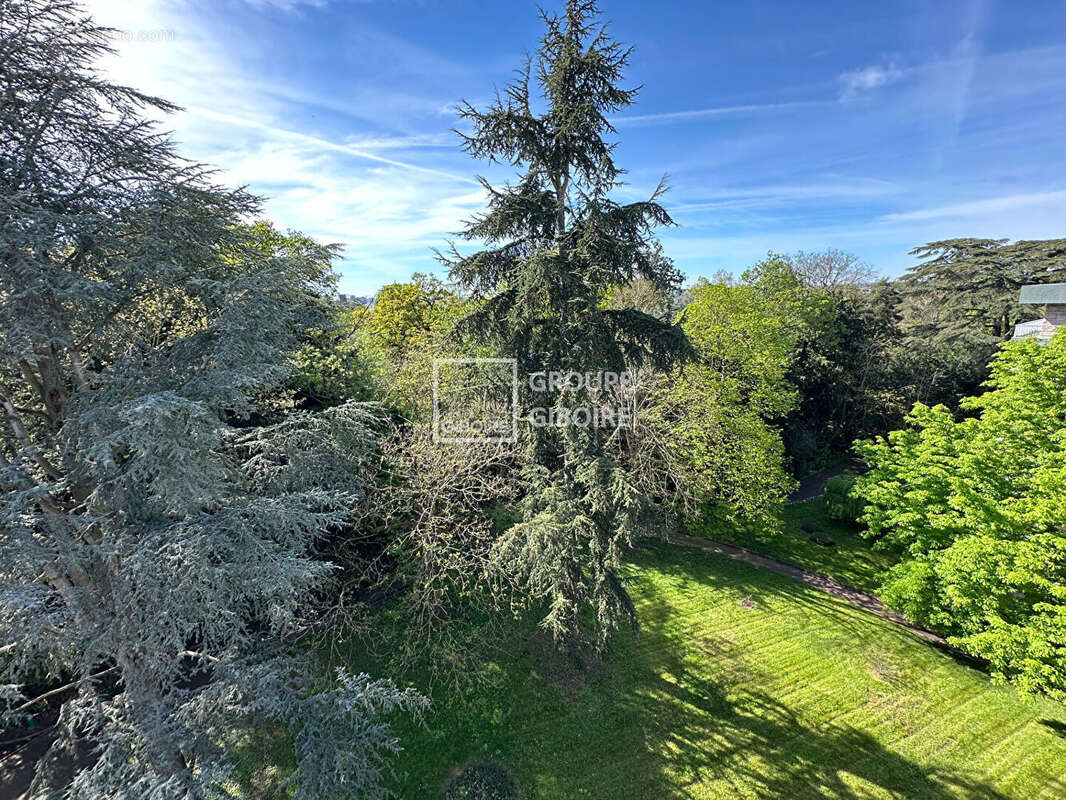 AGENCE GIBOIRE - Rennes Centre-ville - au sein d'un parc privé boisé de 1HA 36CA - photo 4