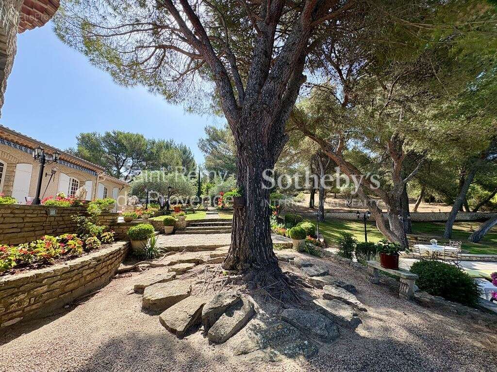 Maison à PLAN-D&#039;ORGON