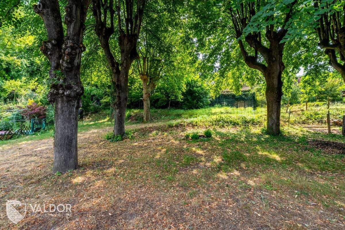 Maison à JASSANS-RIOTTIER