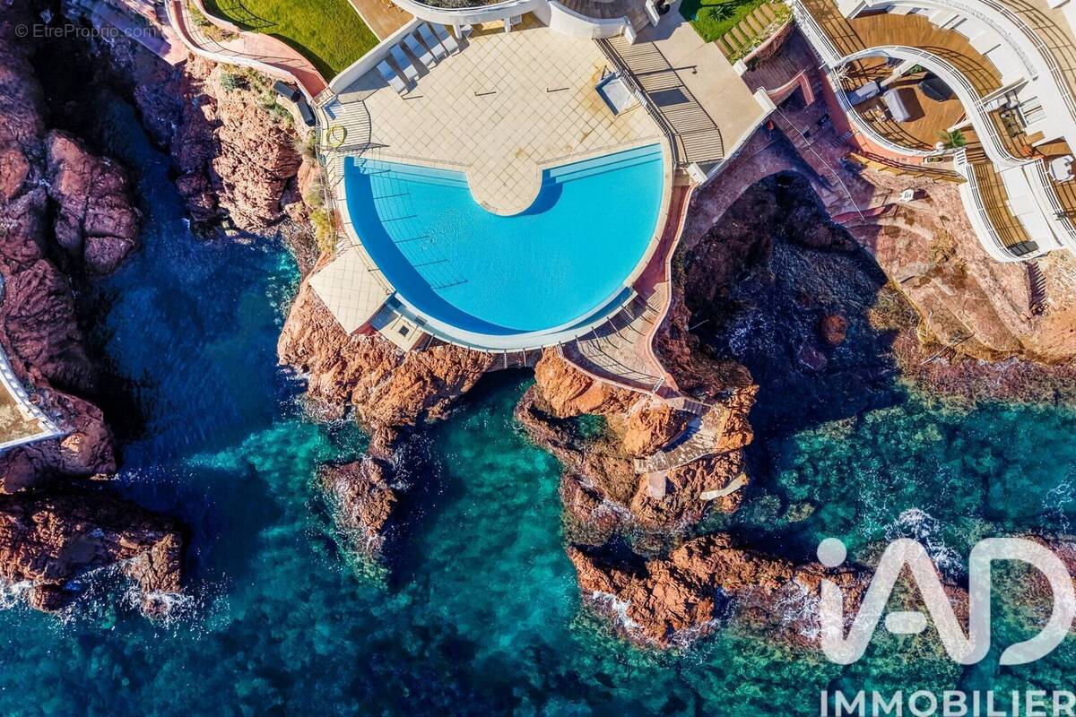 Photo 1 - Appartement à LA SEYNE-SUR-MER