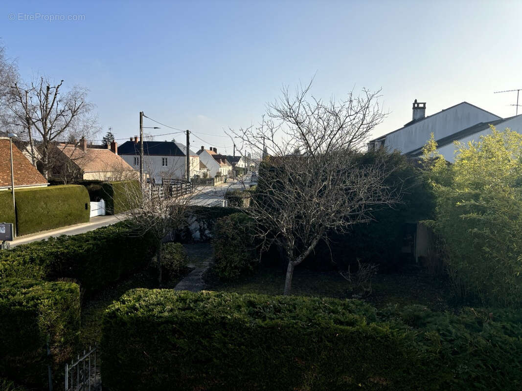 Commerce à SAINT-DENIS-EN-VAL