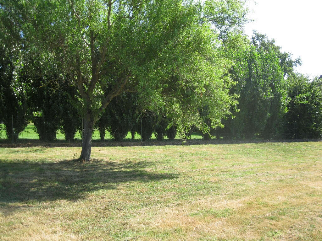 Maison à SAINTE-SEVERE-SUR-INDRE