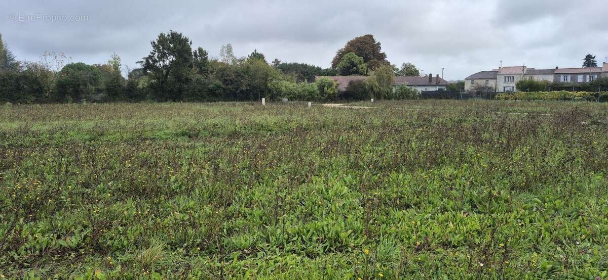 Terrain à TESSON