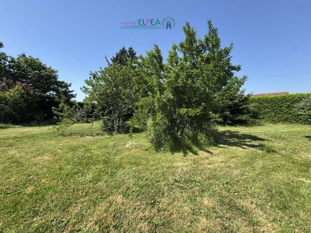 n°2 - Terrain à ANNEYRON