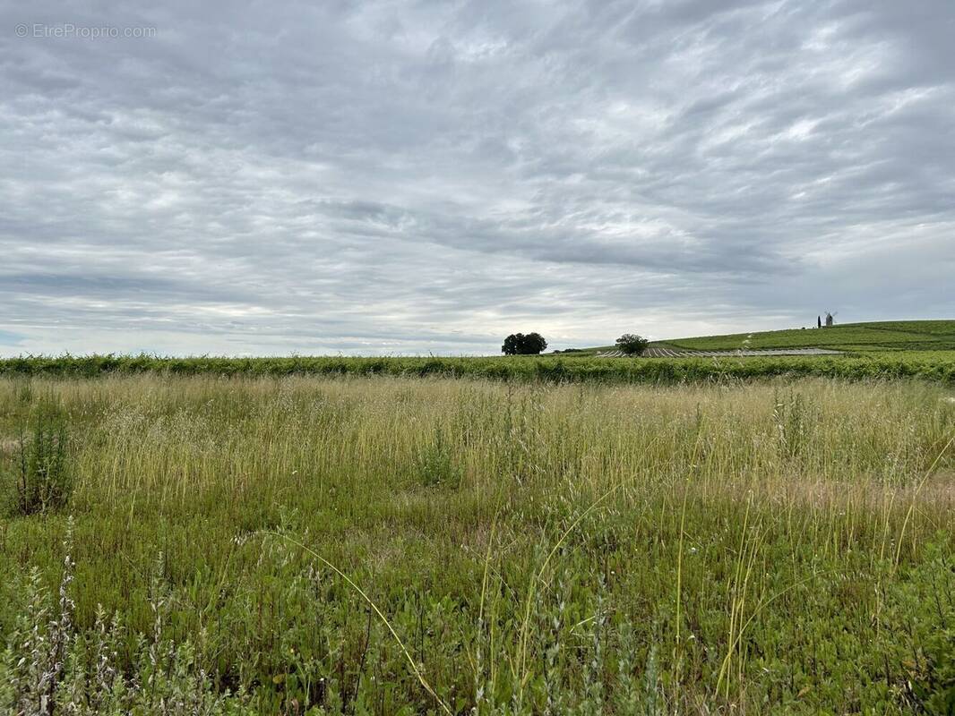 Terrain à SAINTE-LHEURINE