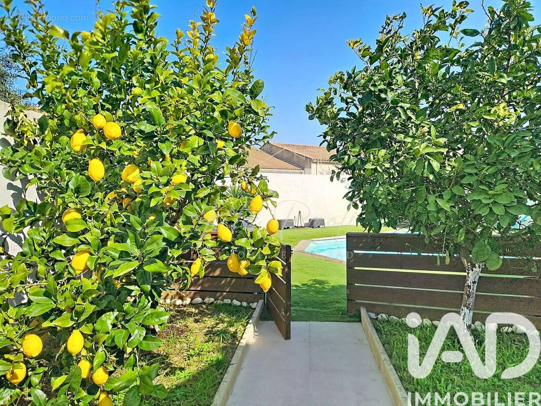 Photo 1 - Maison à SAUVIAN