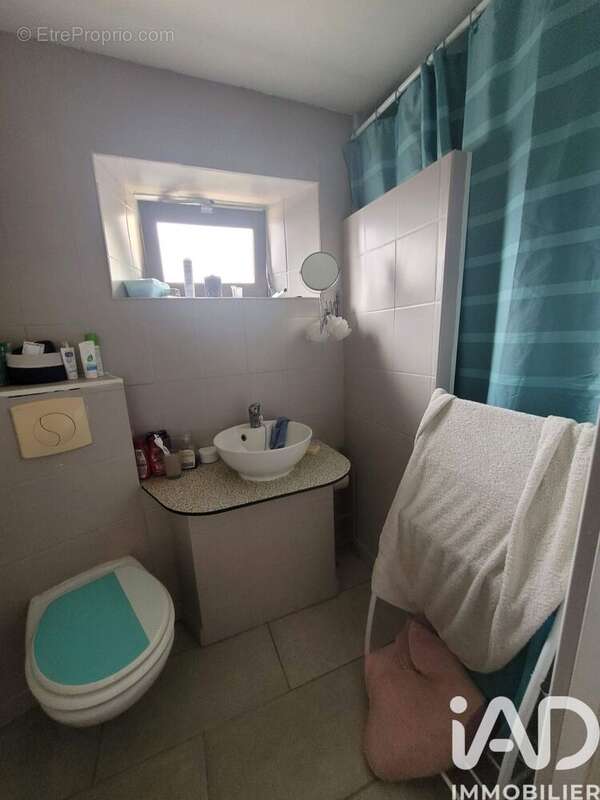 Maison 330 m² à Beaulieu-Sur-Sonnette  - photo 3