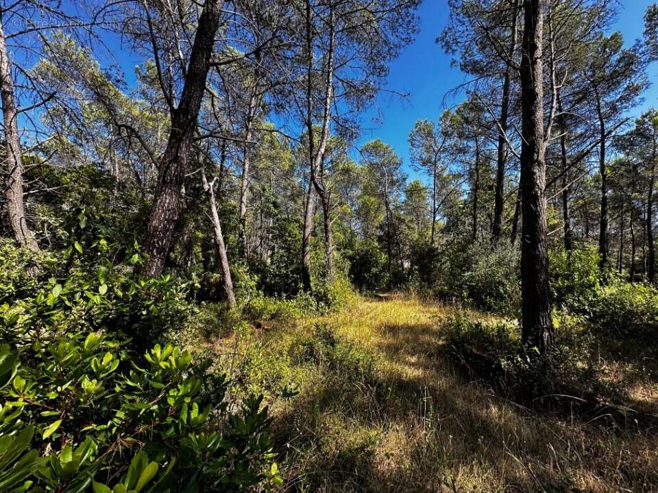 Terrain à FREJUS