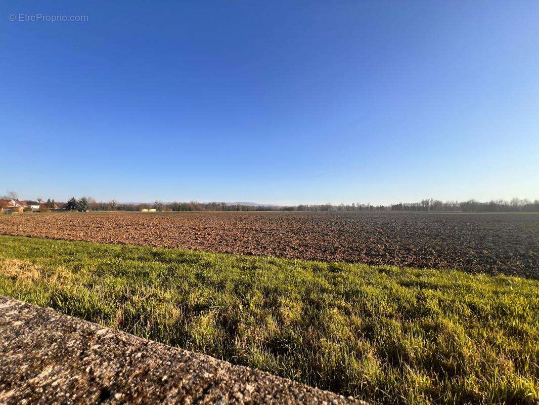 Terrain à DALHUNDEN