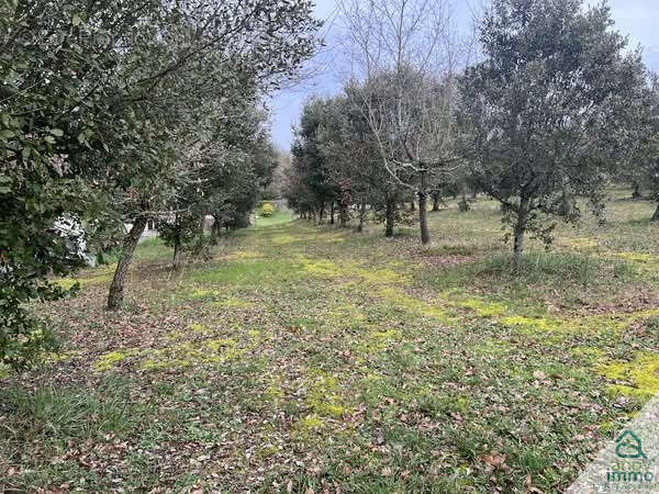 Terrain à AUSSAC-VADALLE