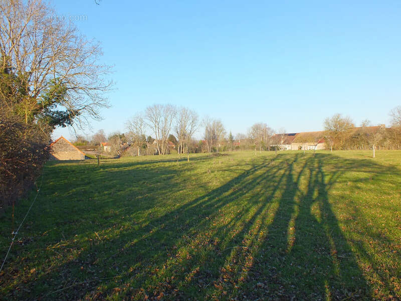 Dpt Côte d'Or (21), à vendre MUSIGNY terrain - Terrain de 5 990,00 m² - photo 5