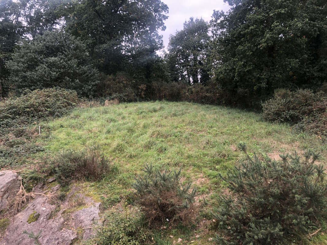 Maison à MINIAC-MORVAN