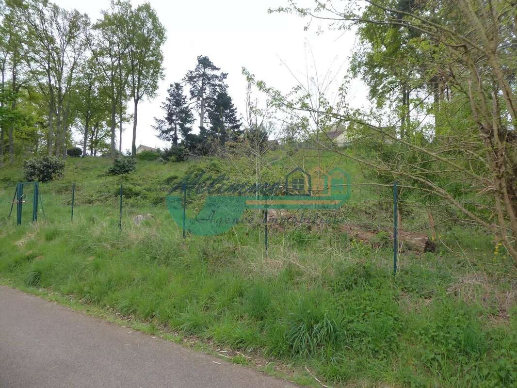 Terrain à SAINT-GEORGES-SUR-BAULCHE