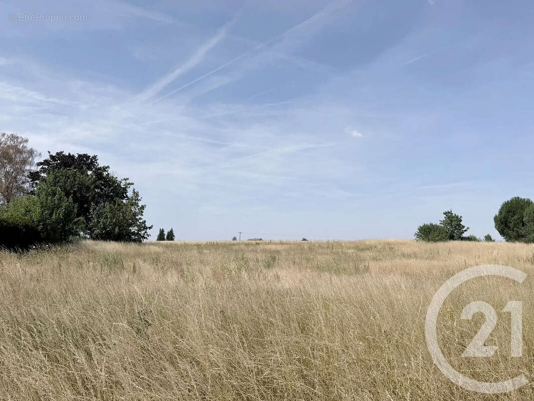 Terrain 945 m² à Maison-Rouge  - photo 4