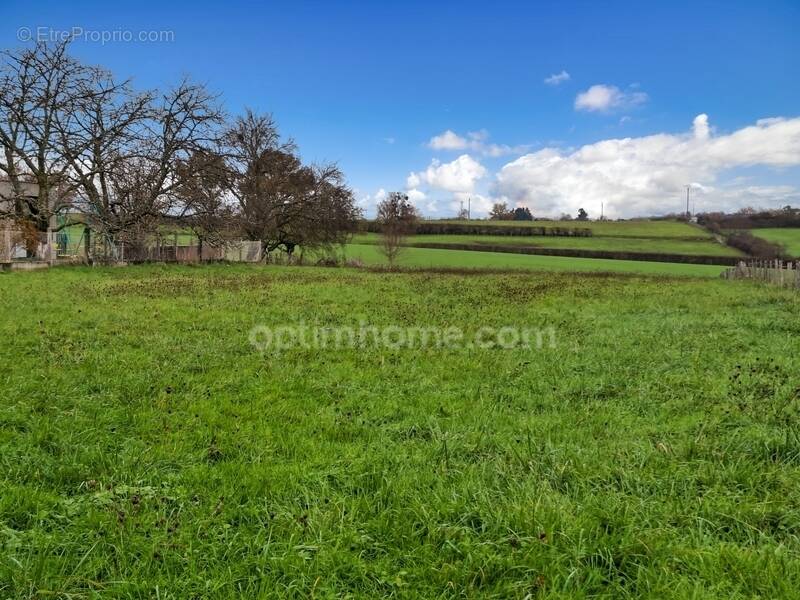 Terrain à ESPINASSE-VOZELLE