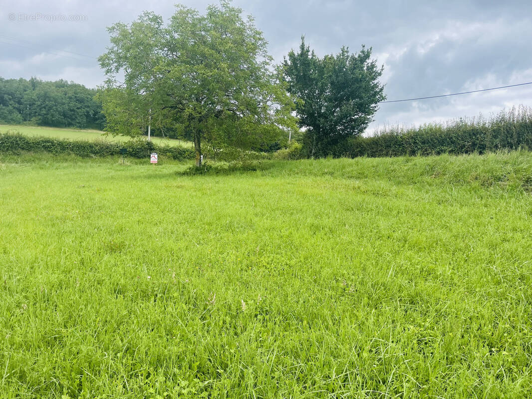 Terrain à TERRASSON-LAVILLEDIEU