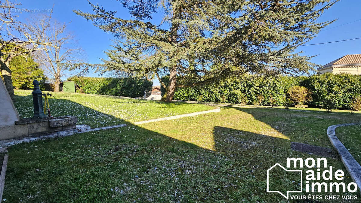 Commerce à LIBOURNE