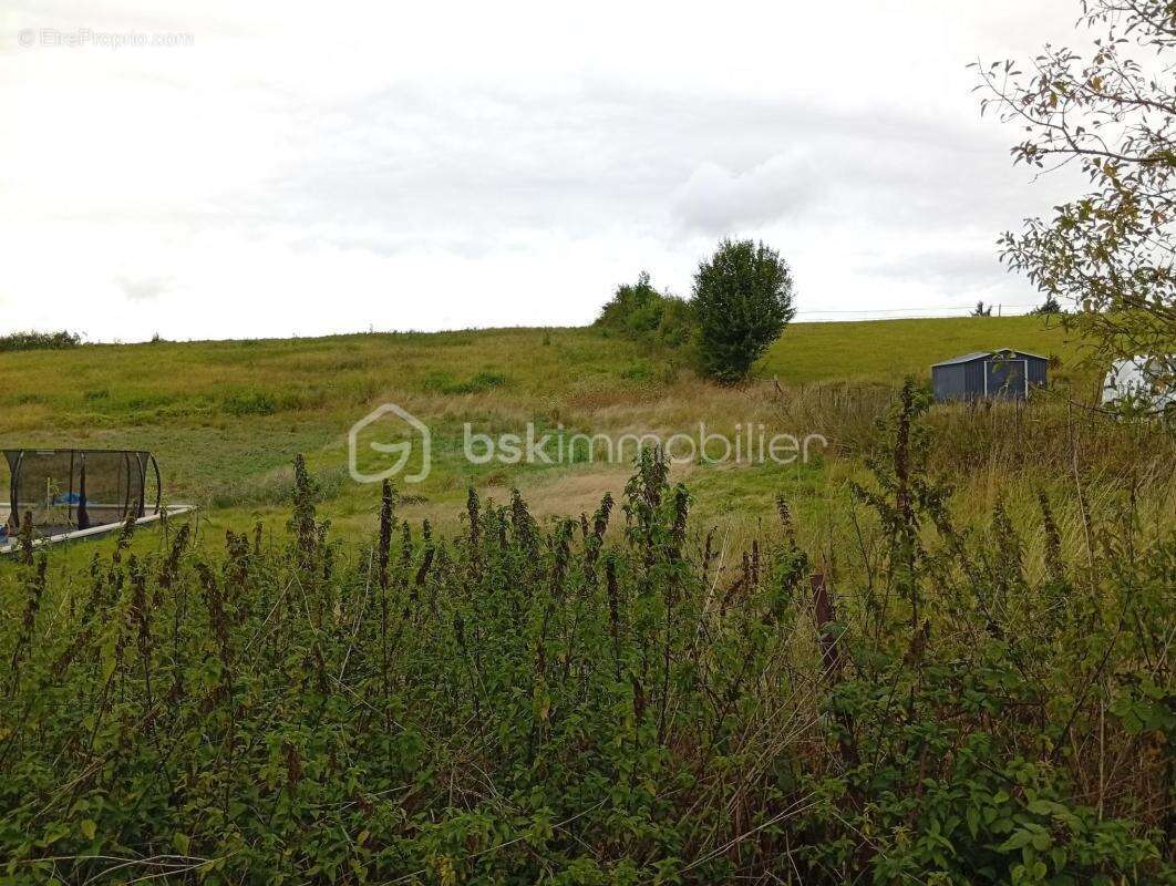 Terrain à SAINTE-GENEVIEVE