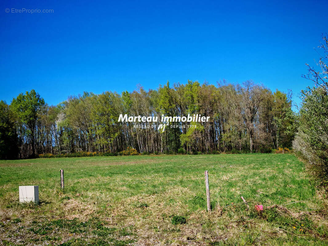 Terrain à LE GRAND-LUCE