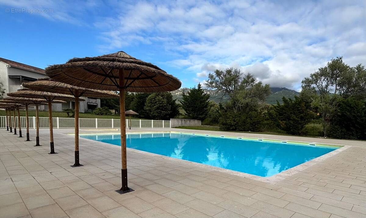 Appartement à OLETTA