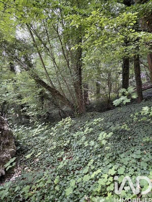 Photo 3 - Terrain à DOULLENS
