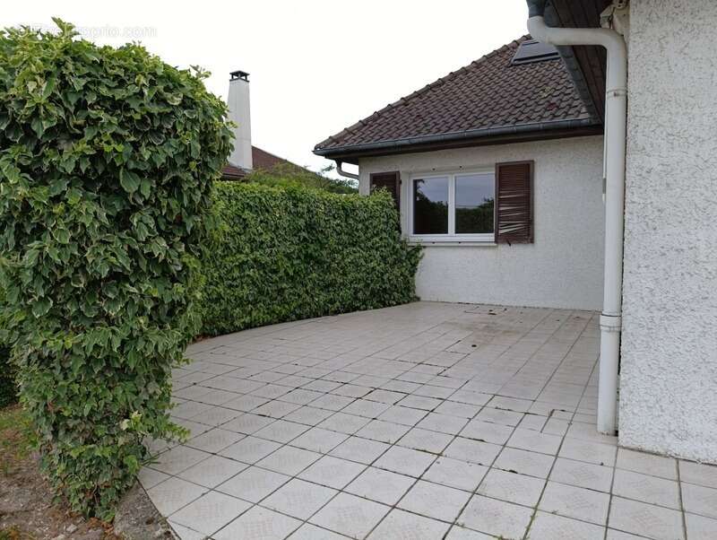 Maison familiale 204 m² – 4 chambres – Sous-sol complet – Revigny-sur-Ornain - photo 8