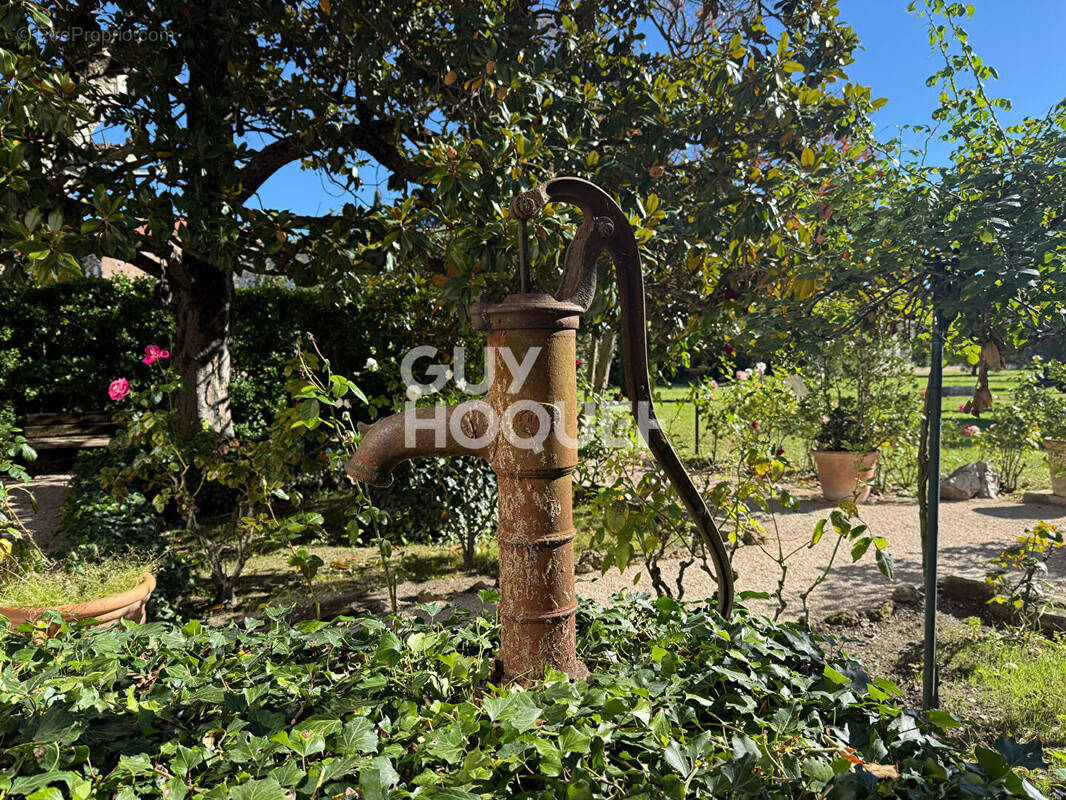 Maison à ALTHEN-DES-PALUDS