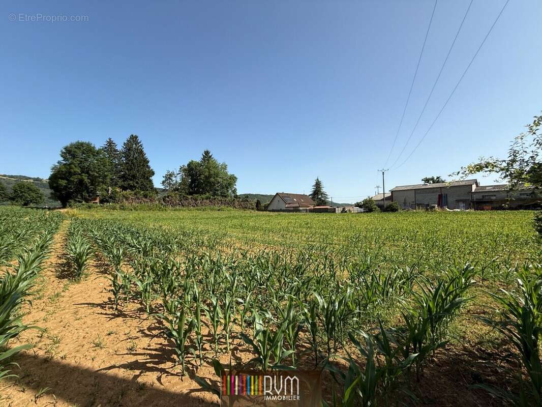 Terrain à SIMANDRE-SUR-SURAN