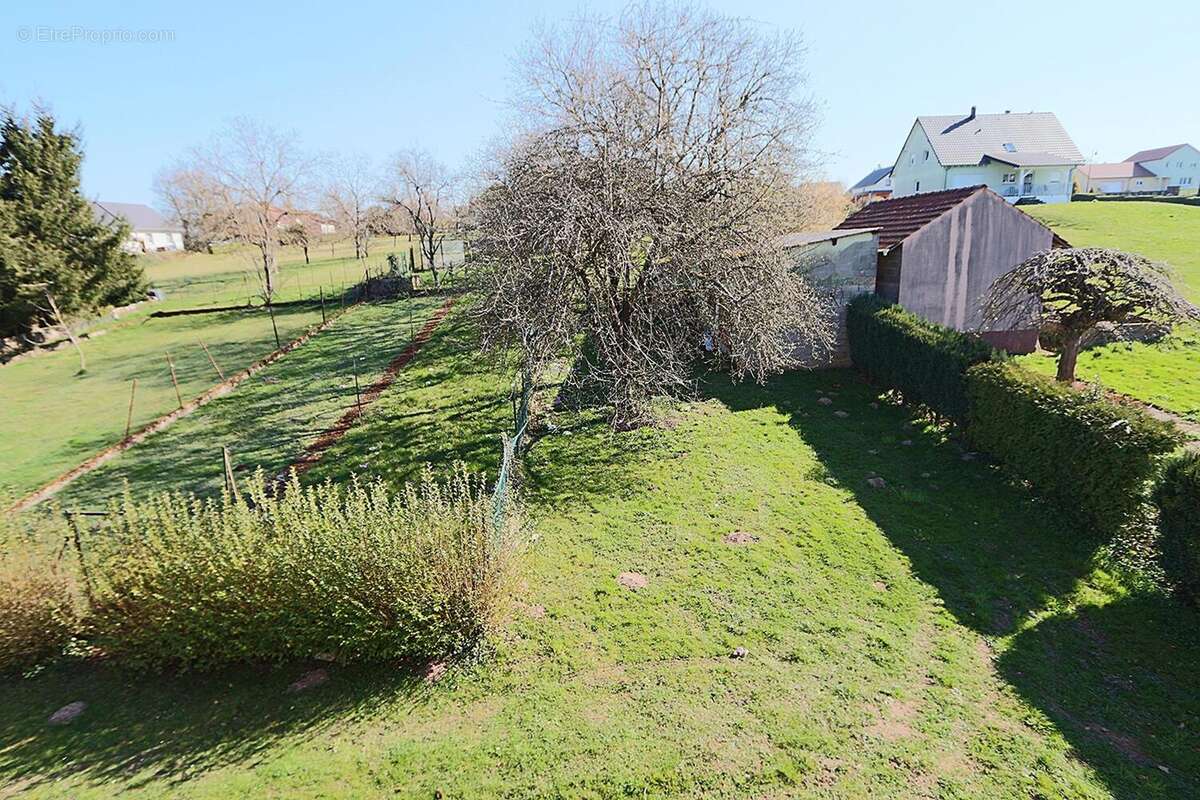 Photo 5 - Maison à PHALSBOURG