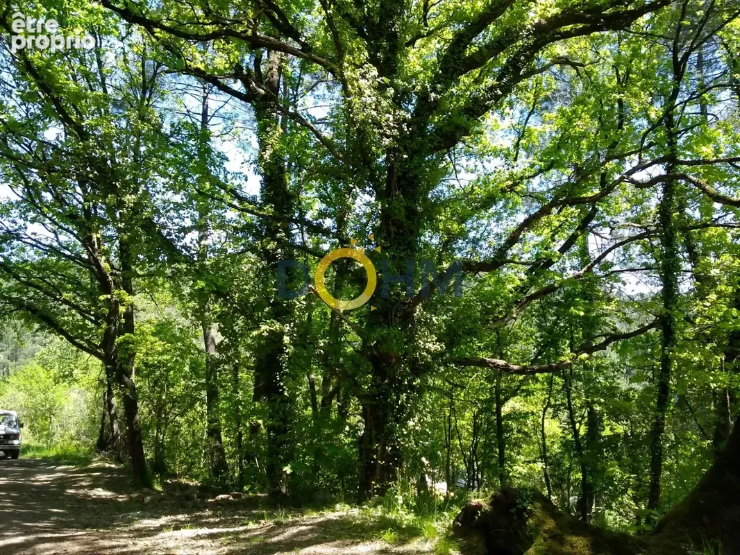 Terrain boisé calme et isolé constructible environ 1500 m2 à 20 minutes d'Alès 55 000 € - photo 3