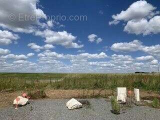 Terrain à SAINTE-SOULLE