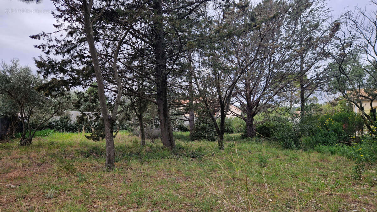 Terrain à SAINT-JEAN-DE-FOS