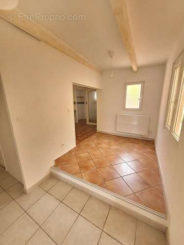 Toulon siblas - photo 2