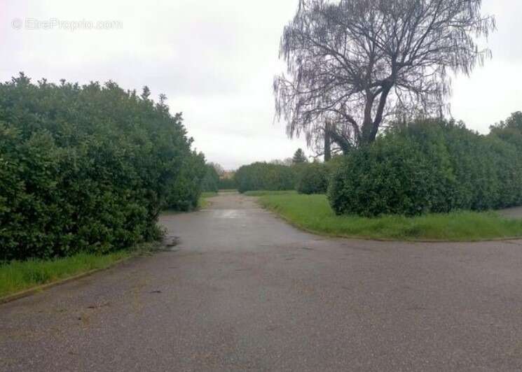 Terrain à LORIOL-SUR-DROME