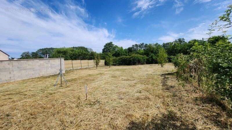 Terrain à RIVECOURT