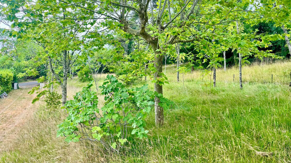 Maison des années 60 d'envion 60m2 sur un terrain d'environ 4370m2 - photo 8