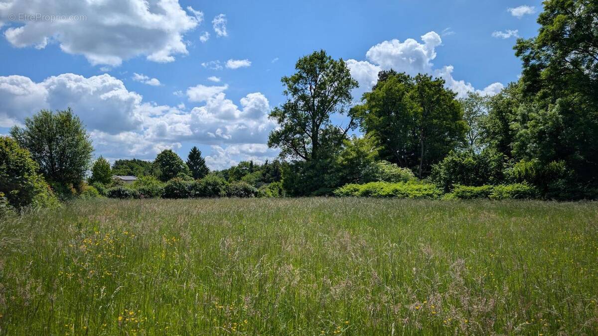 Terrain à RILHAC-RANCON