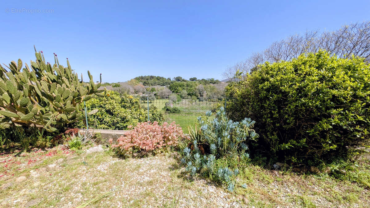 Maison à LAROQUE-DES-ALBERES