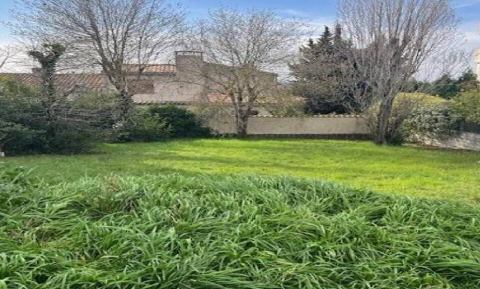 Terrain à CARCASSONNE