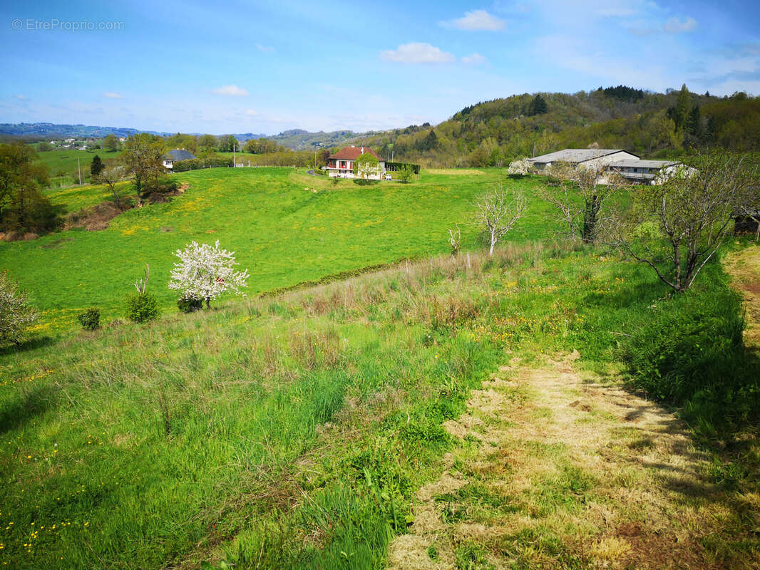 Terrain à VOUTEZAC