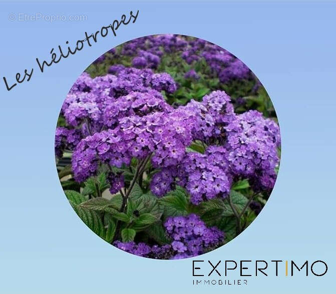 Appartement à POITIERS