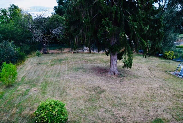 Terrain constructible viabilisé - photo 4