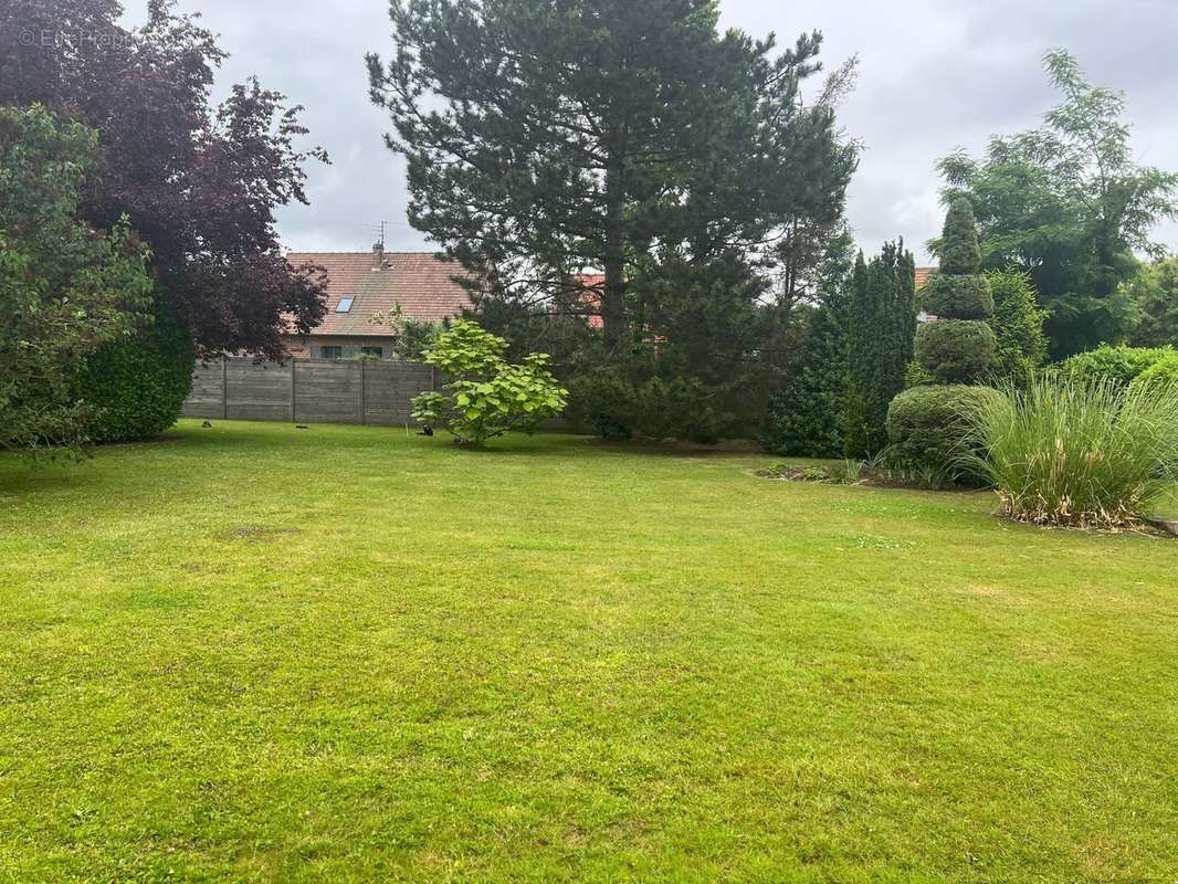 Terrain à CAMPHIN-EN-CAREMBAULT