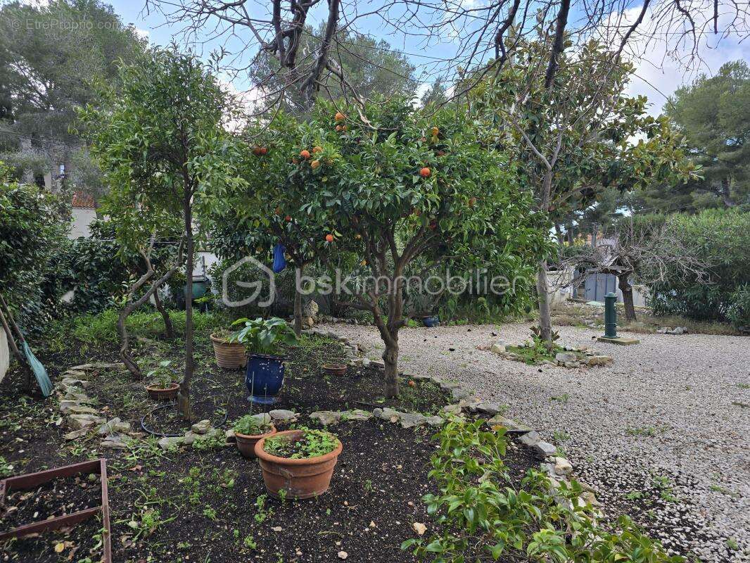 EXCLUSIVITÉ – À 100 m de la mer – Maison T5 + Duplex indépendant – Idéal famille, investissement ou projet multigénérationnel - photo 25