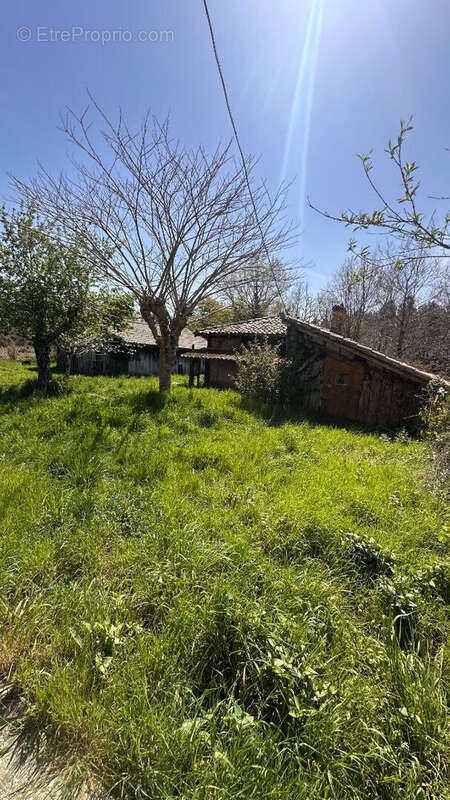 Maison à MOUSTEY