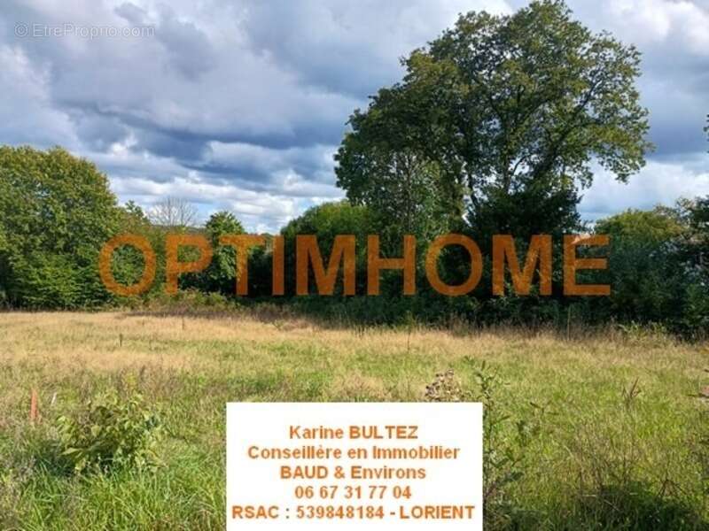 Terrain à BAUD