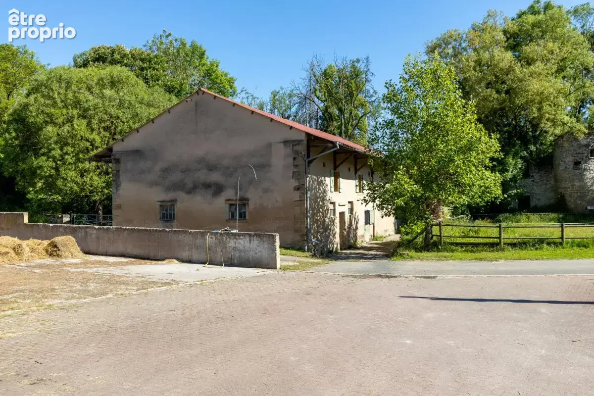 Domaine equestre - boxes-manege-carriere-appartement - photo 13