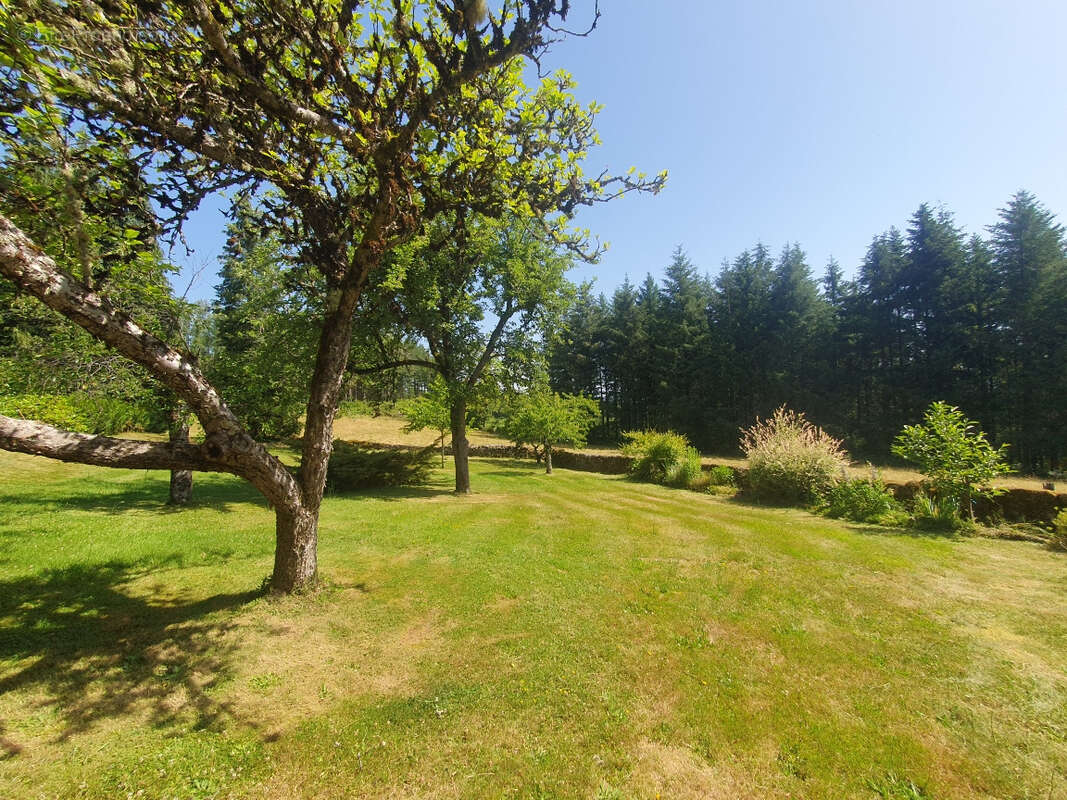 Propriété d'exception en xaintrie, 2,2 ha bois et prés attenants, dépendance ,trés bon état . - photo 24