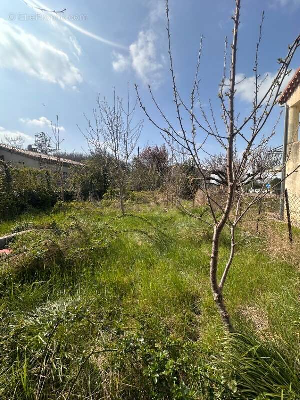 Terrain à BEAUMONT-LES-VALENCE