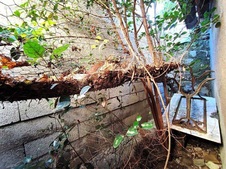 Maison à VILLENEUVE-LES-MAGUELONE